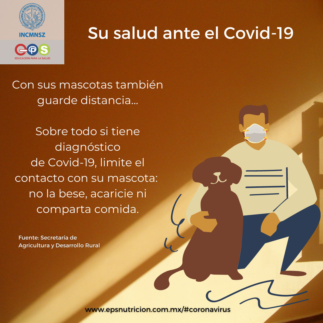 Coronavirus. Mascotas y COVID